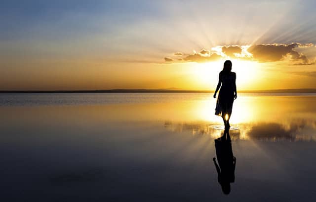 How to Find Your True Purpose of Life 1 How to Find Your True Purpose of Life