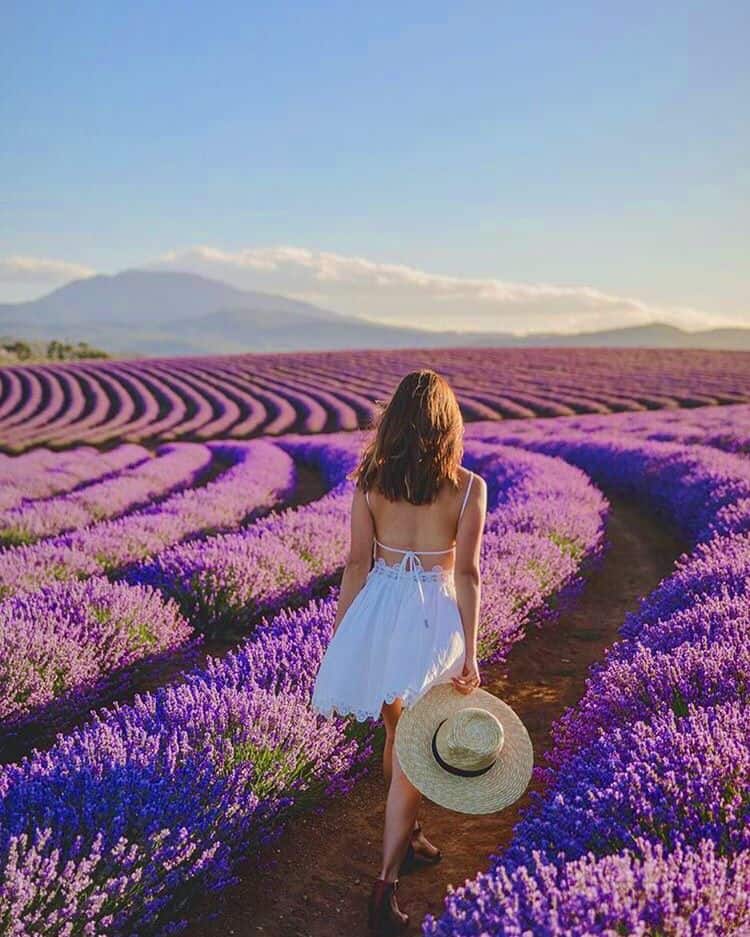 #TravelTheRainbow: Colorful destinations from across the globe