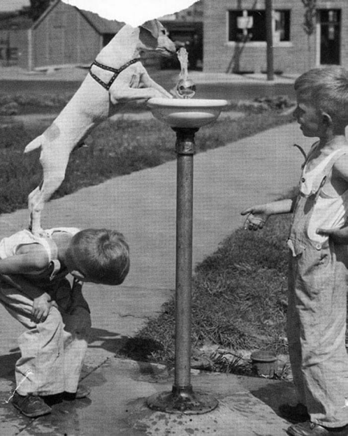 Before Smartphones When Kids Had Real Fun