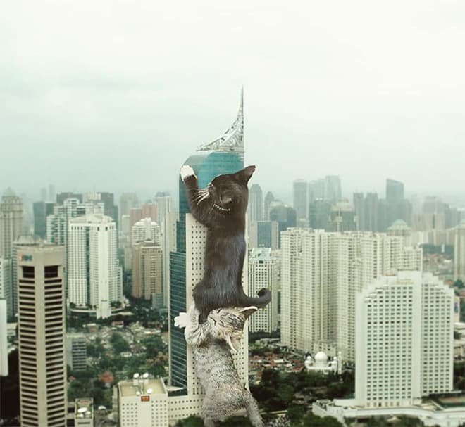 Kings Catzillas by the Artist Fransdita Muafidin In Urban Landscapes