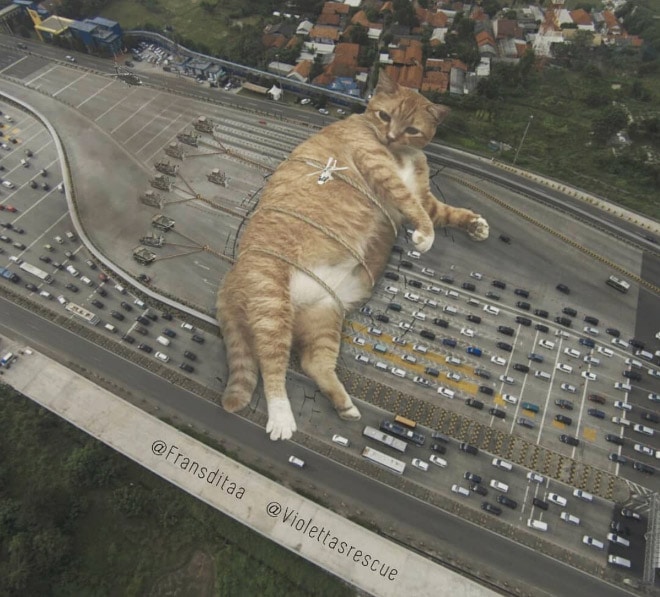 Kings Catzillas by the Artist Fransdita Muafidin In Urban Landscapes
