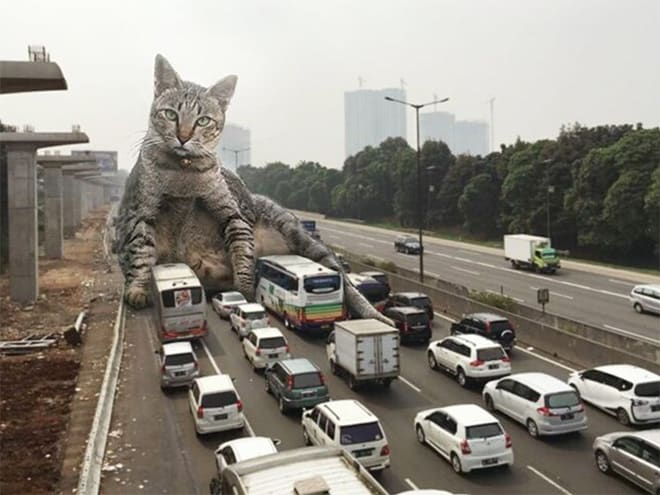 Kings Catzillas by the Artist Fransdita Muafidin In Urban Landscapes