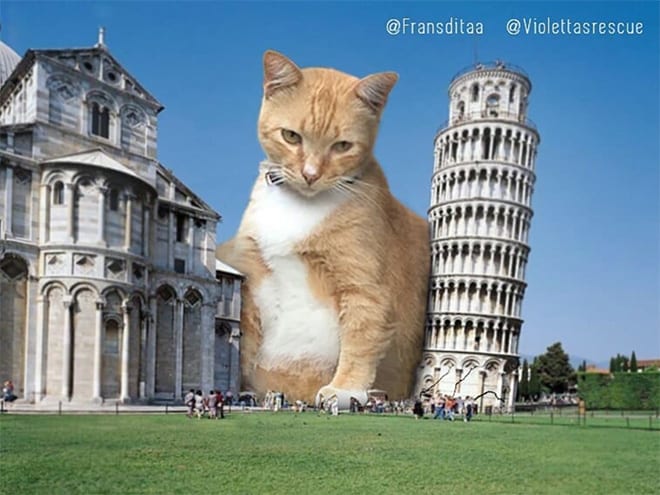 Kings Catzillas by the Artist Fransdita Muafidin In Urban Landscapes