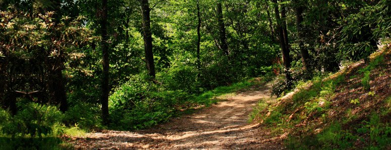 What Happened To My Spirit When I Spent 2 Nights In Nature…ALONE