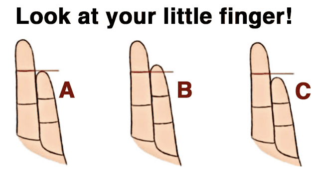 The Length Of This Finger Is The Secret To Your Personality - Furilia ...