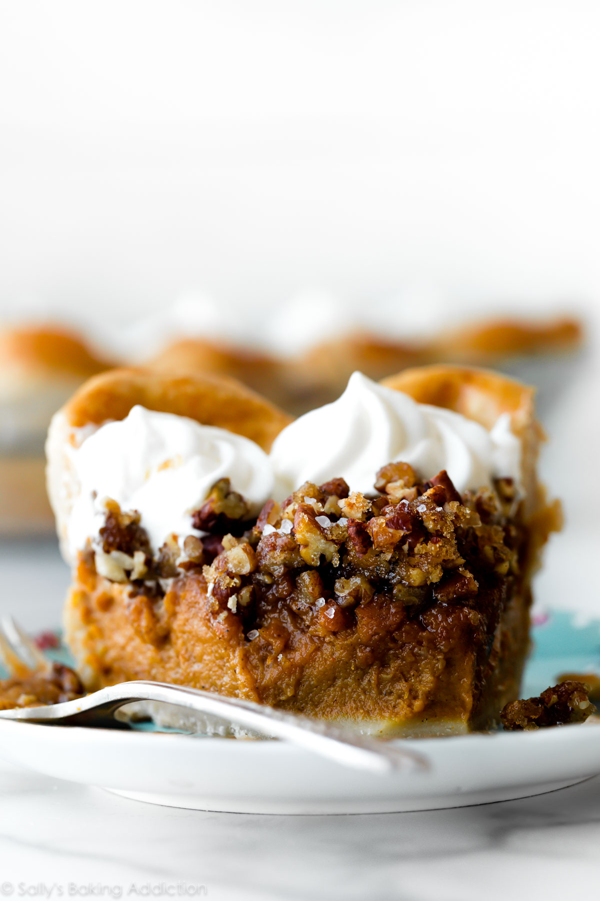 Sweetsalty Pecan Praline Pumpkin Pie Recipe Sallys Baking Addiction Furilia Entertainment